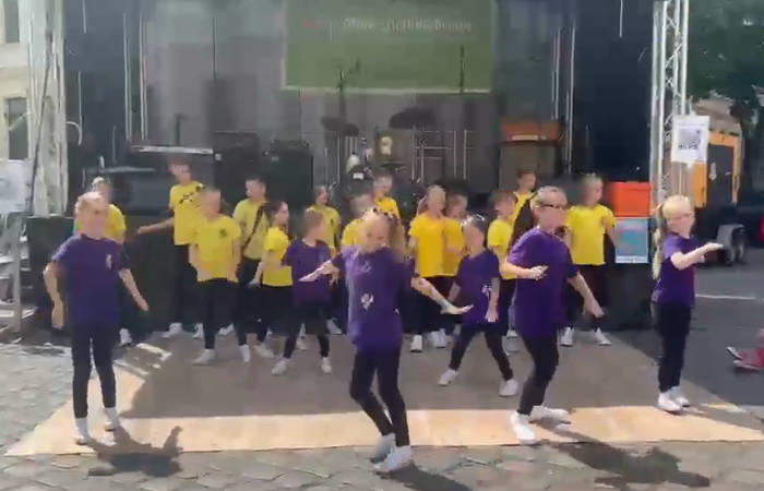 Bild Video